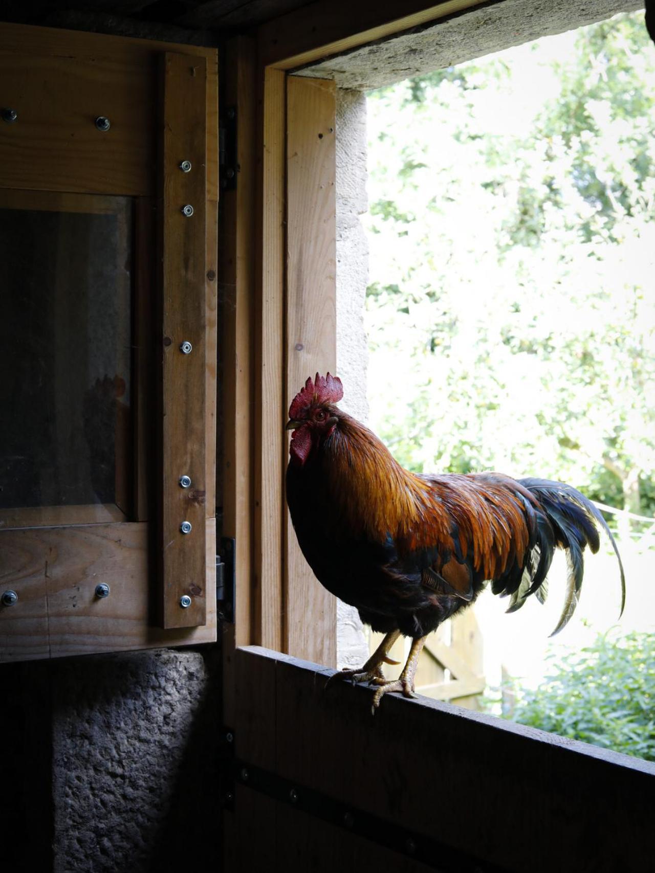 Moulin De La Rouchotte Panzió Frétigney-et-Velloreille Kültér fotó