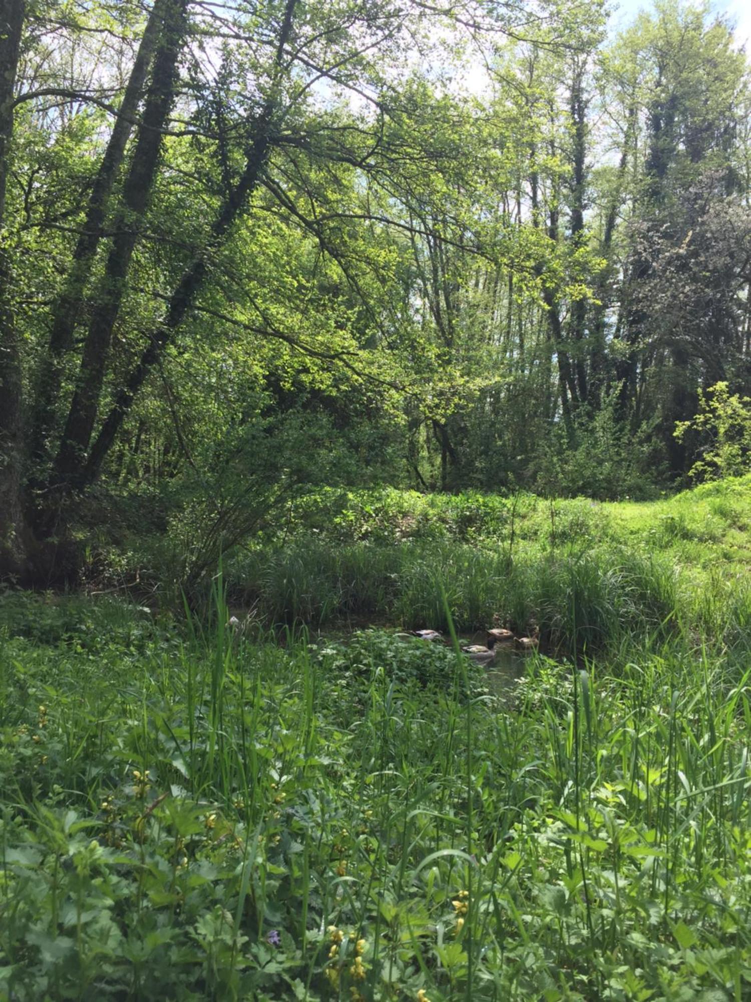 Moulin De La Rouchotte Panzió Frétigney-et-Velloreille Kültér fotó
